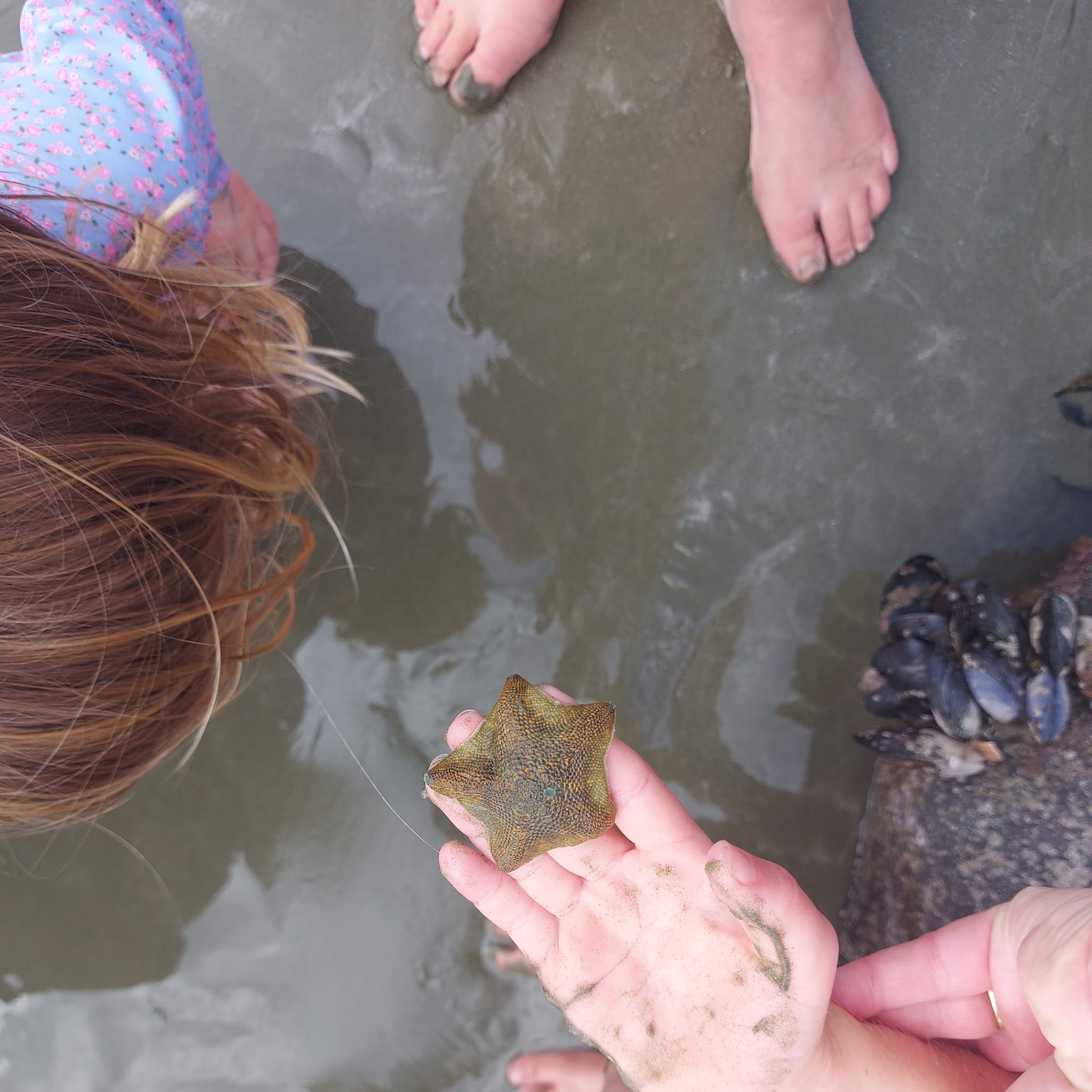 Benvenue Cliffs Lighthouse and Waimataitai Beach WuHoo Timaru Roselyn Fauth Dec 2021 3