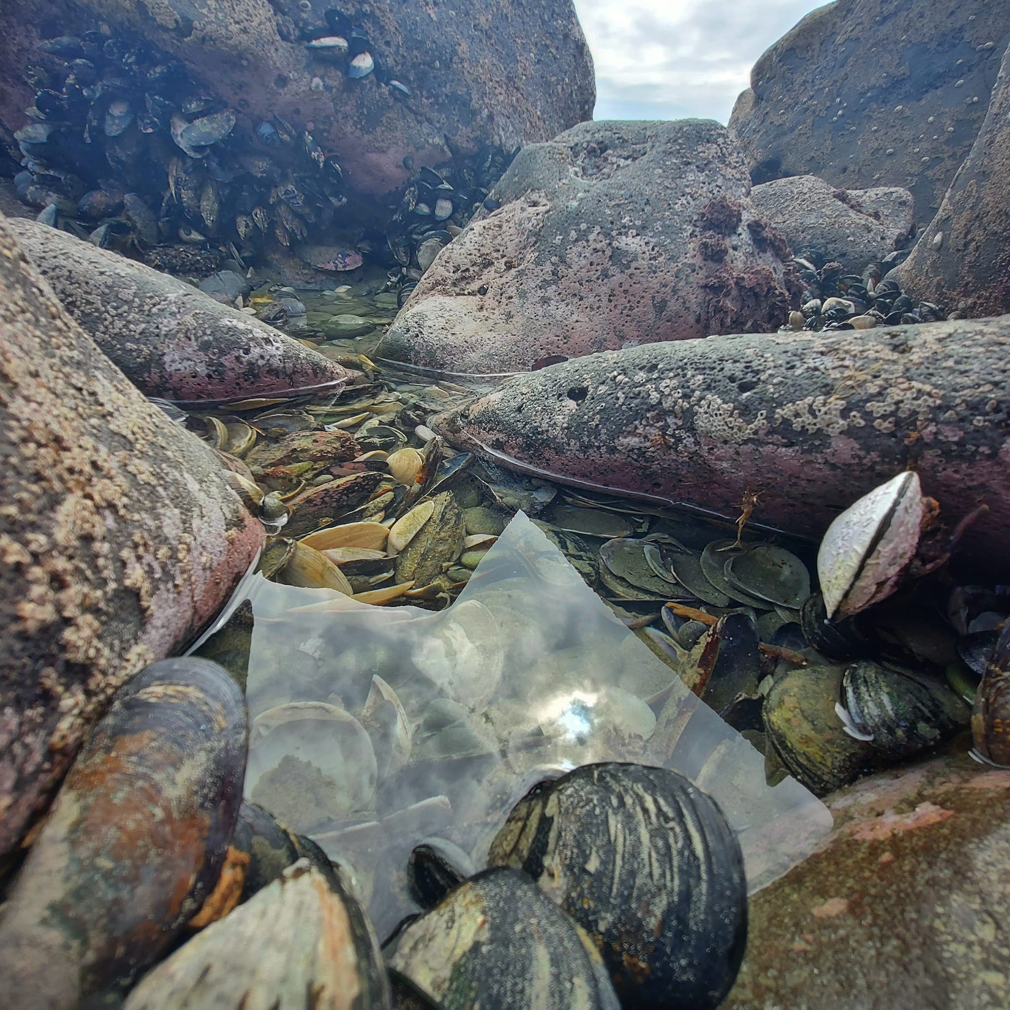 Benvenue Cliffs Lighthouse and Waimataitai Beach WuHoo Timaru Roselyn Fauth Dec 2021 3