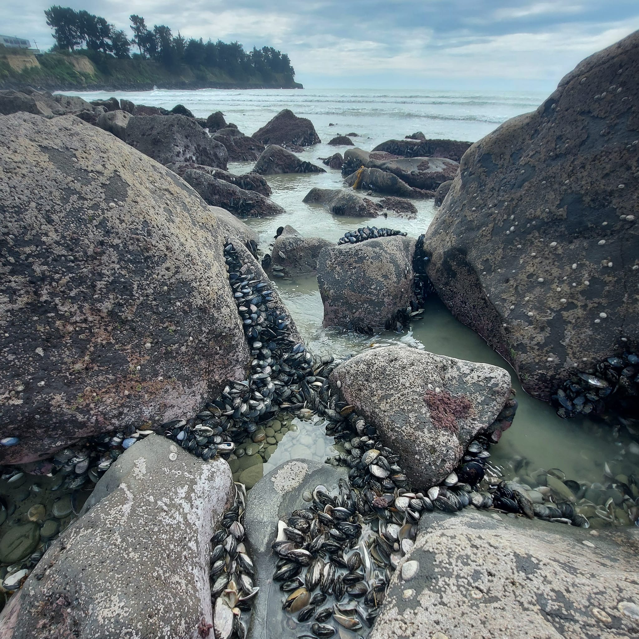 Benvenue Cliffs Lighthouse and Waimataitai Beach WuHoo Timaru Roselyn Fauth Dec 2021 3