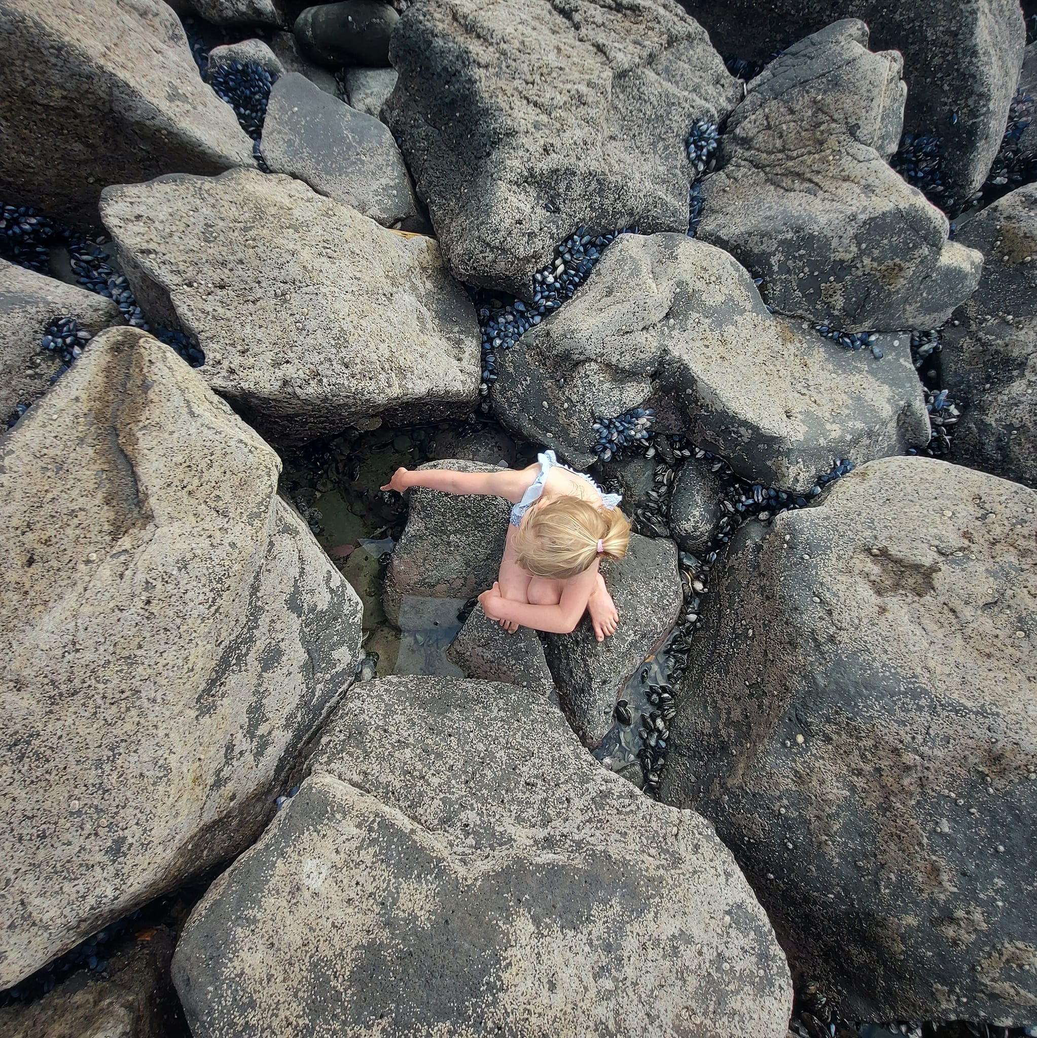 Benvenue Cliffs Lighthouse and Waimataitai Beach WuHoo Timaru Roselyn Fauth Dec 2021 3