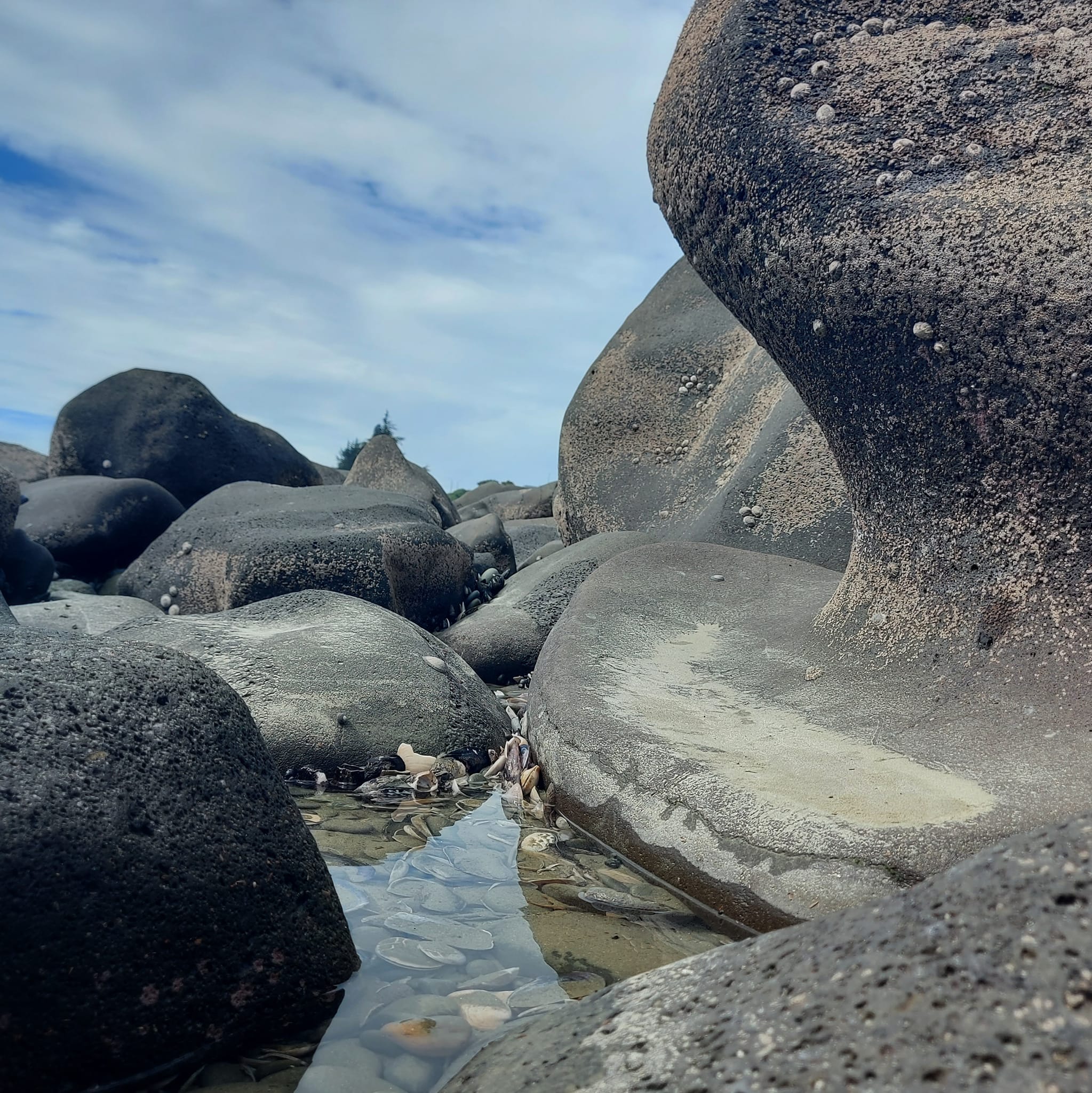 Benvenue Cliffs Lighthouse and Waimataitai Beach WuHoo Timaru Roselyn Fauth Dec 2021 3