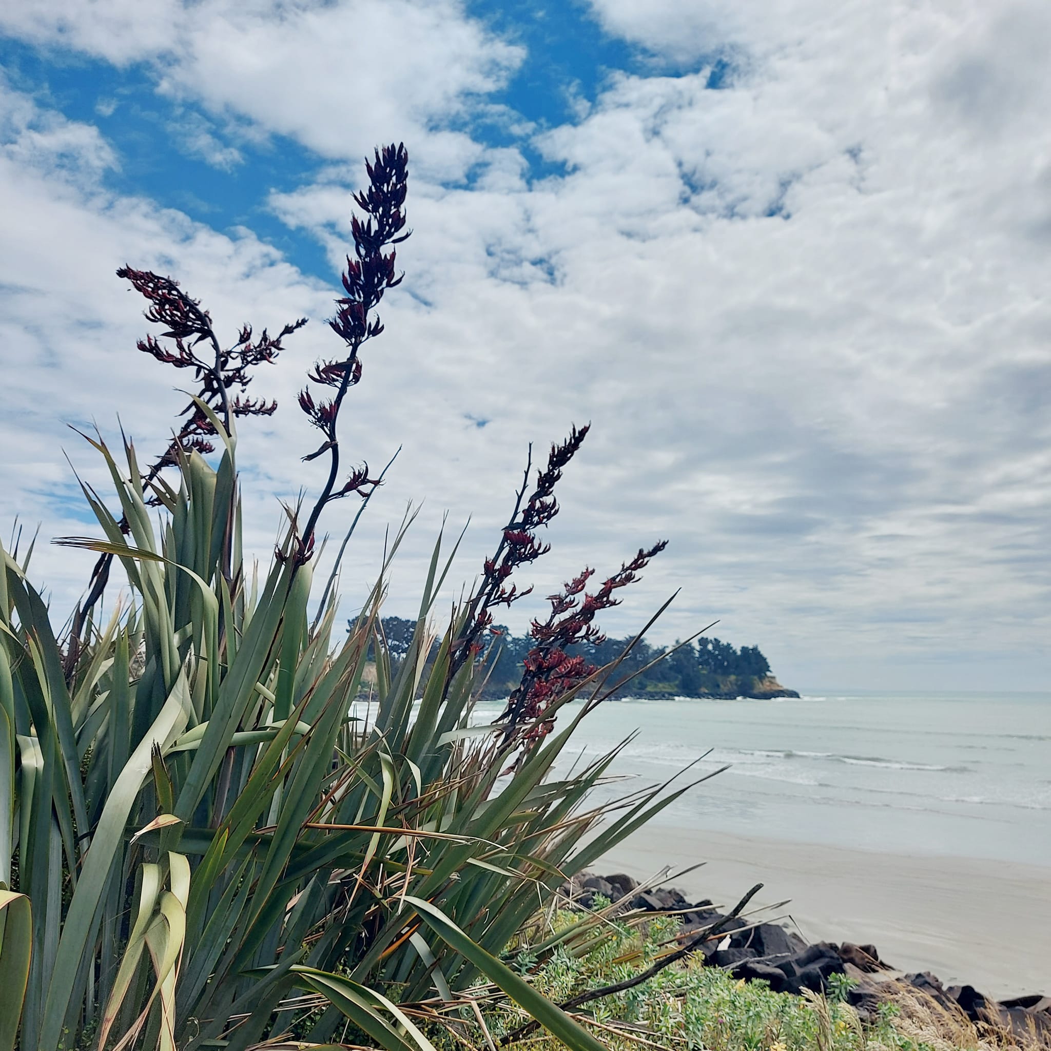 Benvenue Cliffs Lighthouse and Waimataitai Beach WuHoo Timaru Roselyn Fauth Dec 2021 3