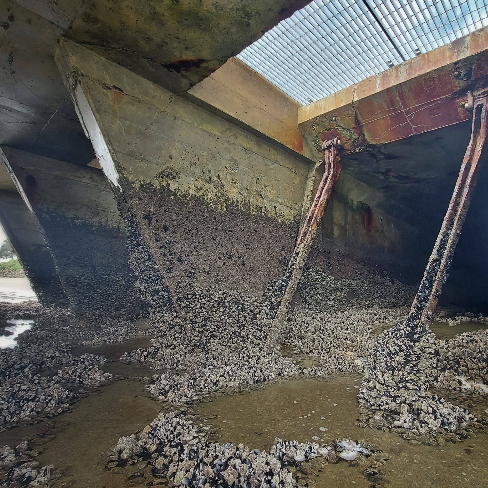 Benvenue Cliffs Lighthouse and Waimataitai Beach WuHoo Timaru Roselyn Fauth Dec 2021 3