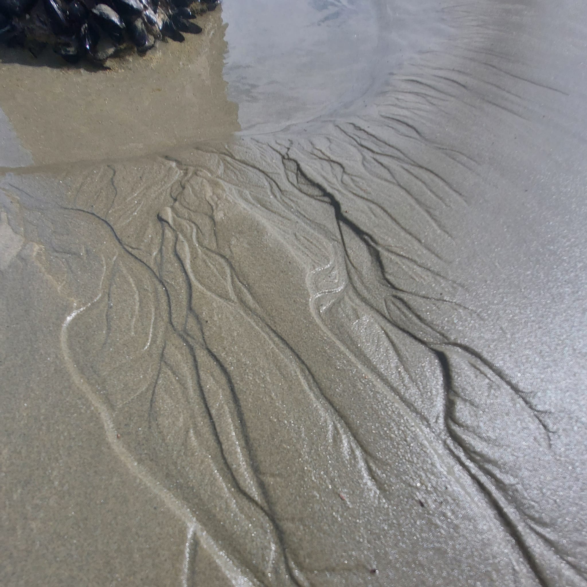 Benvenue Cliffs Lighthouse and Waimataitai Beach WuHoo Timaru Roselyn Fauth Dec 2021 3