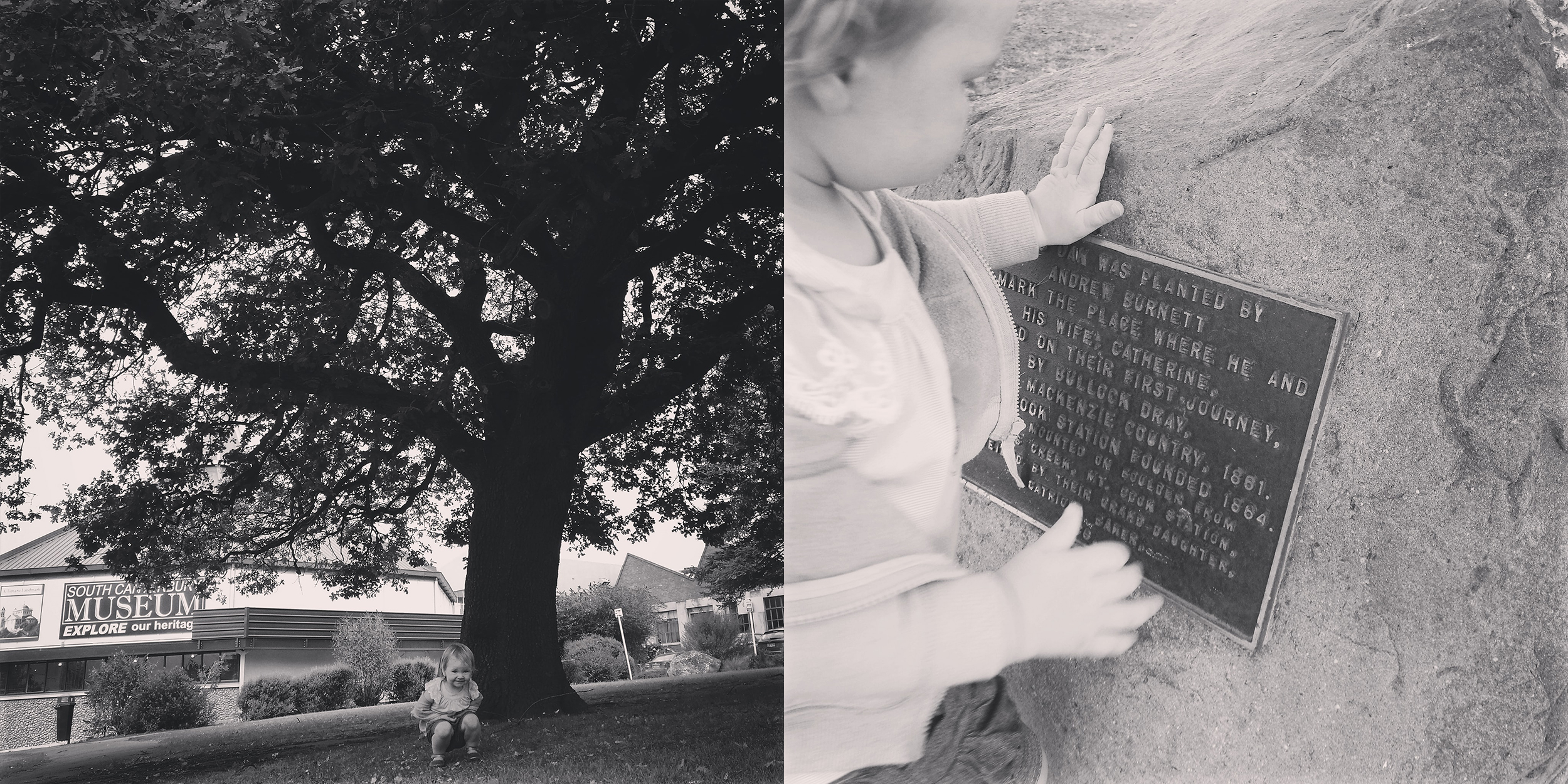 Burnett Oak Perth St Timaru Roselyn Fauth