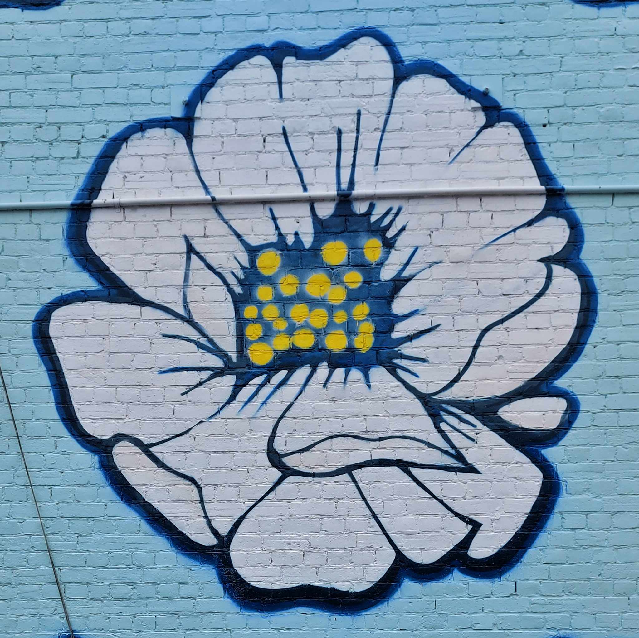 Aroha Novak Community House Wall Flowers