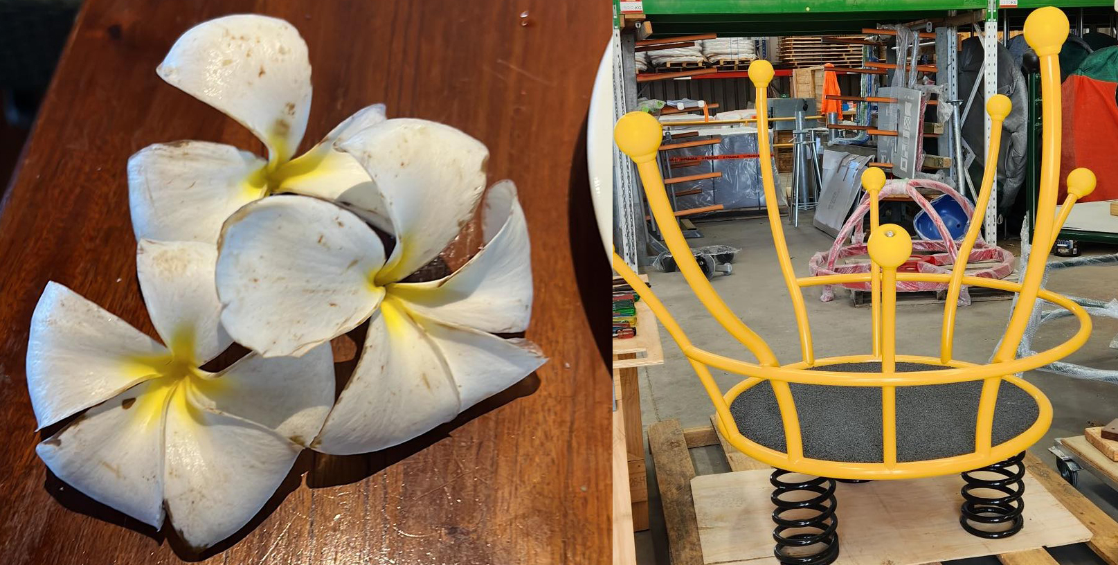 Pacifica Flower and playground equipment