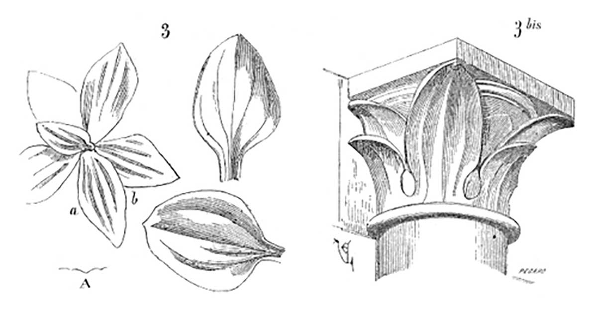 Chapiteau.plantin.Notre.Dame.Paris