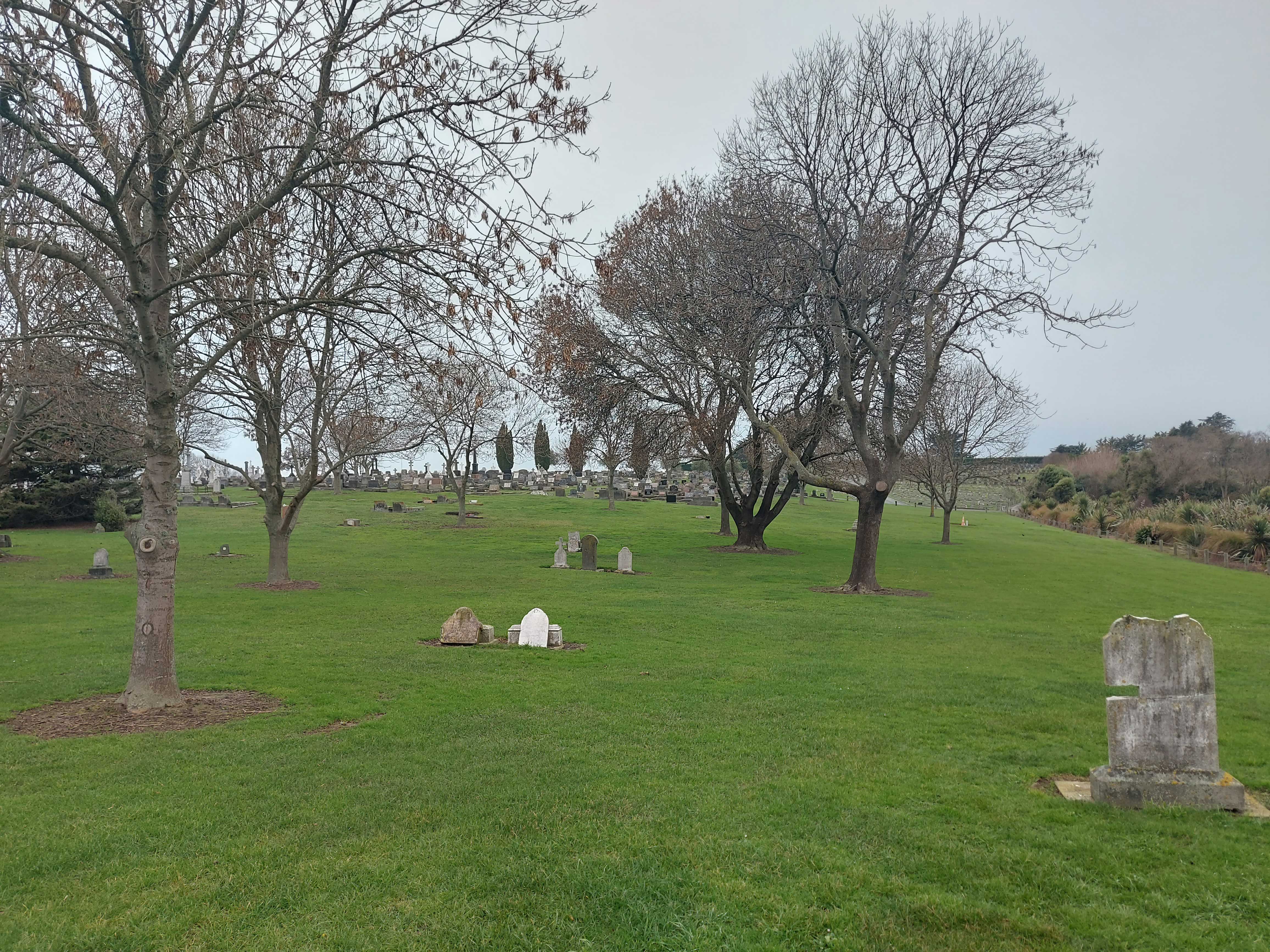 Cory Grave Timaru Photo RFauth 20250703 115223