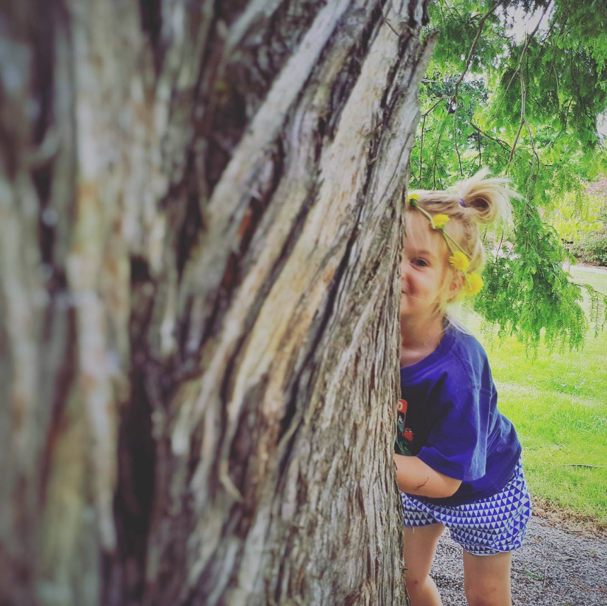 Daisy Chain at the Timaru Botanic Gardens R Fauth