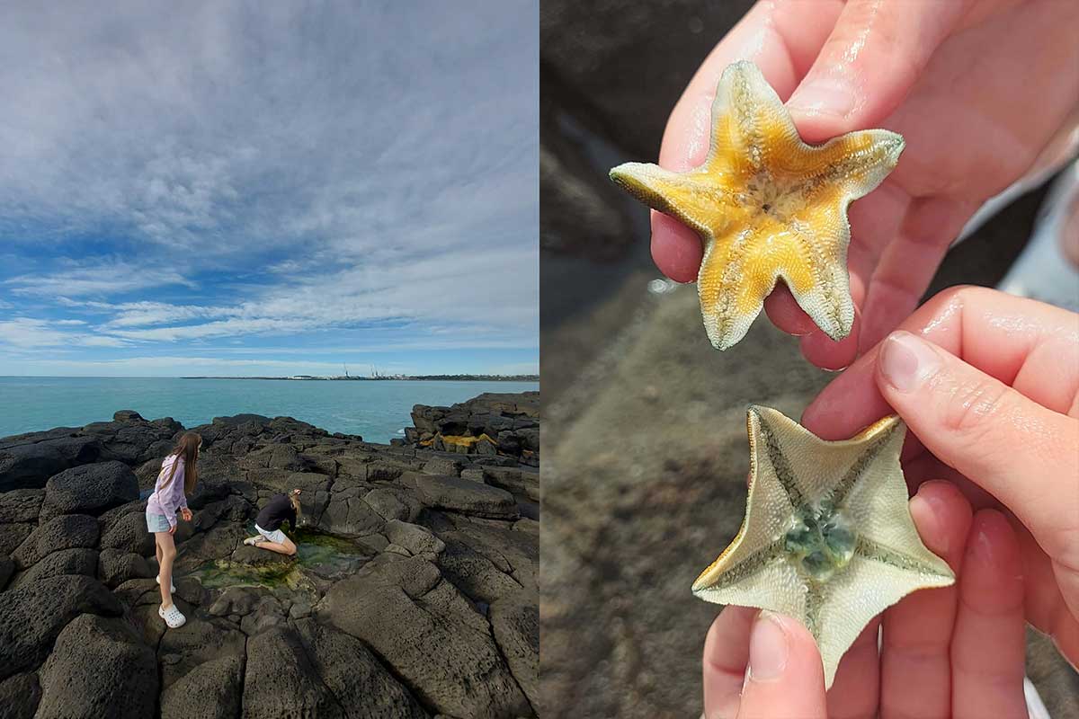 Dashing Rocks Rock Pool April 2026 R Fauth