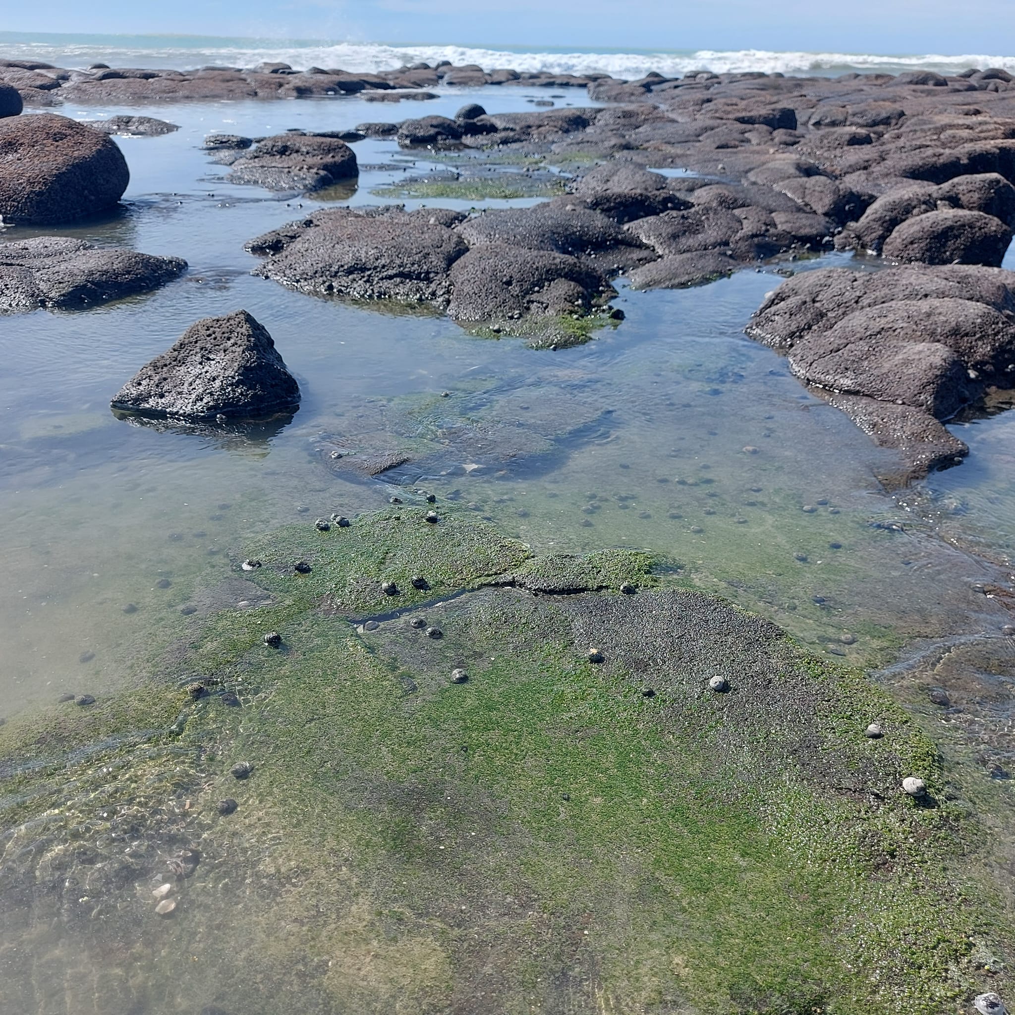 Exploring the Waitarakao Washdyke Lagoon WuHoo Timaru Roselyn Fauth 2023