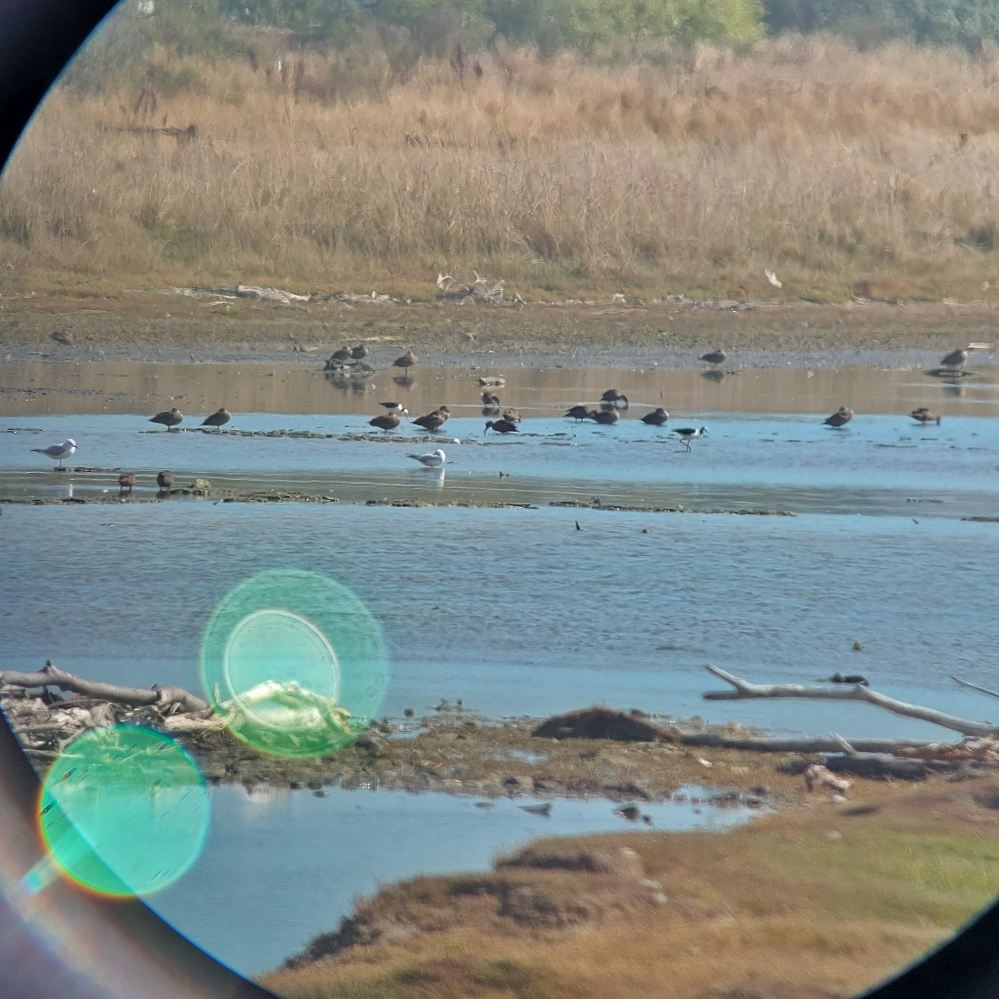 Exploring the Waitarakao Washdyke Lagoon WuHoo Timaru Roselyn Fauth 2023