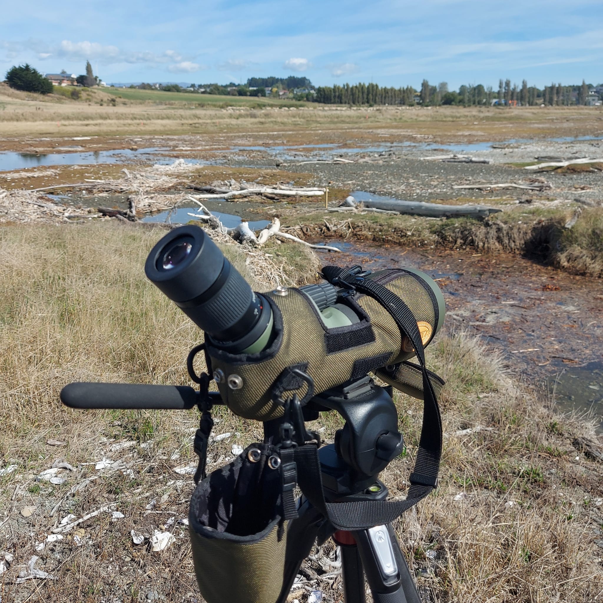 Exploring the Waitarakao Washdyke Lagoon WuHoo Timaru Roselyn Fauth 2023