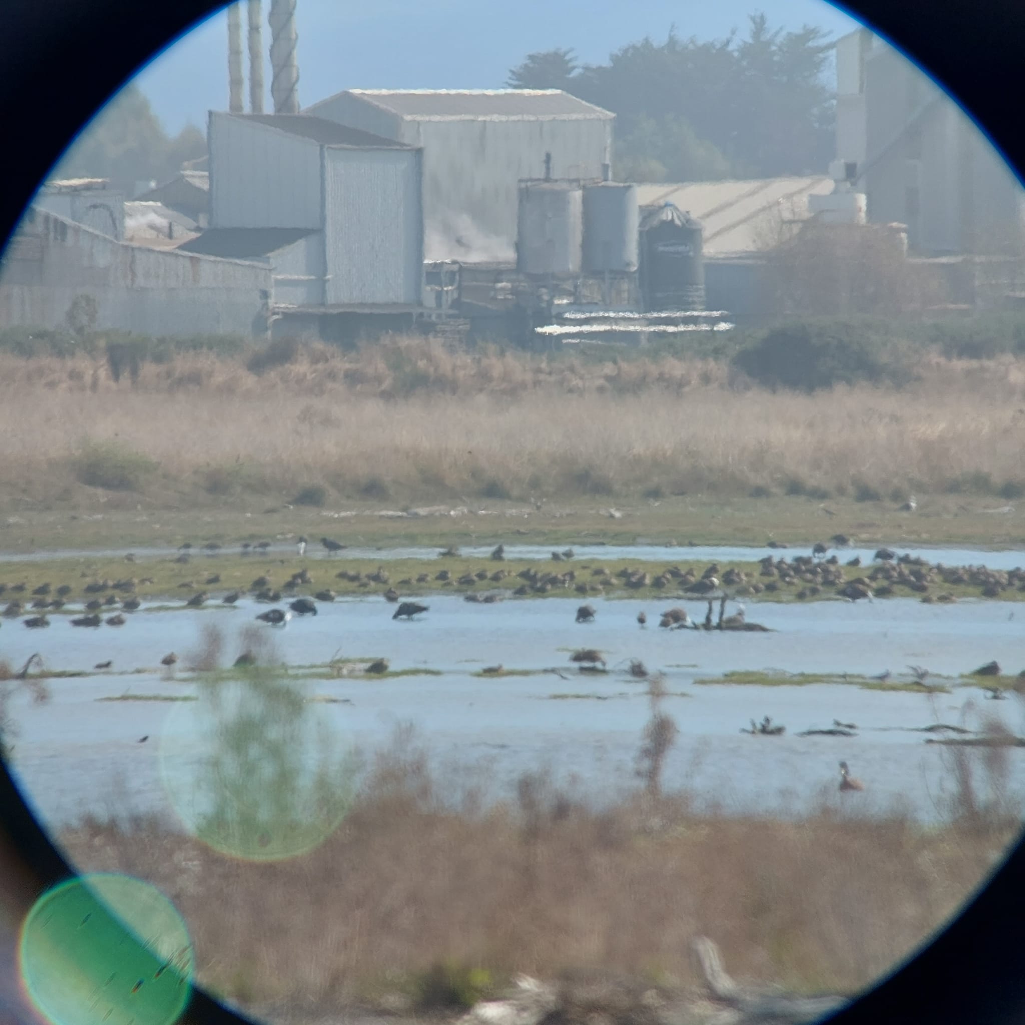 Exploring the Waitarakao Washdyke Lagoon WuHoo Timaru Roselyn Fauth 2023