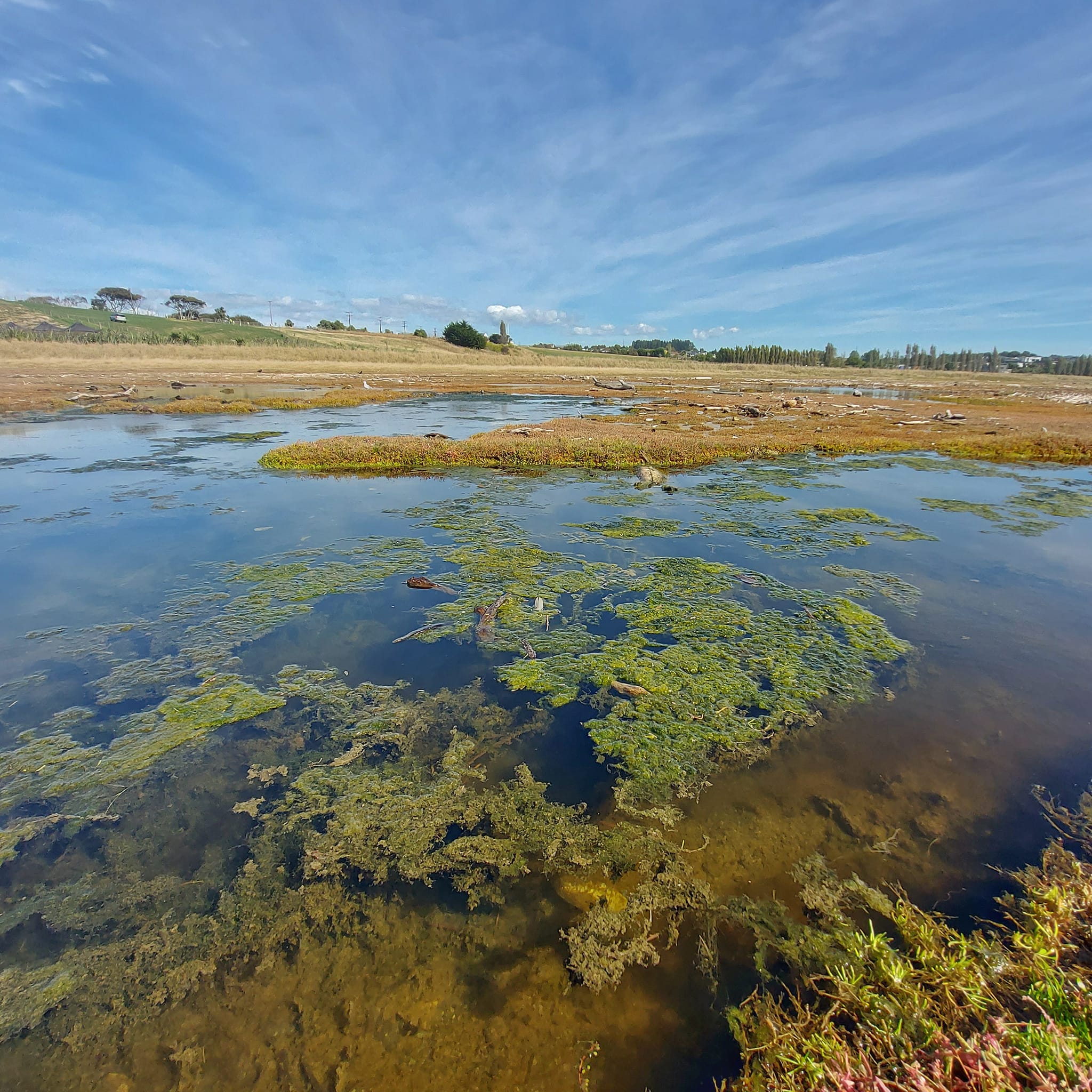 Exploring the Waitarakao Washdyke Lagoon WuHoo Timaru Roselyn Fauth 2023