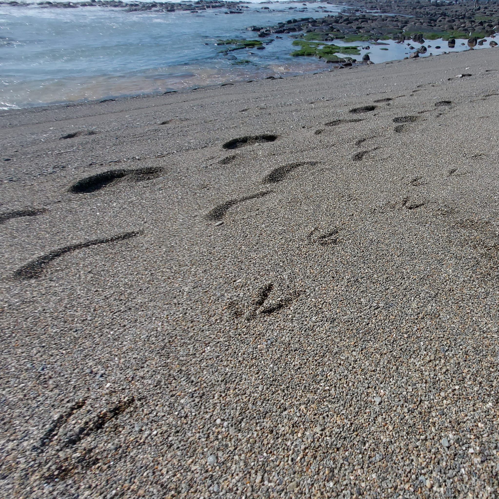 Exploring the Waitarakao Washdyke Lagoon WuHoo Timaru Roselyn Fauth 2023