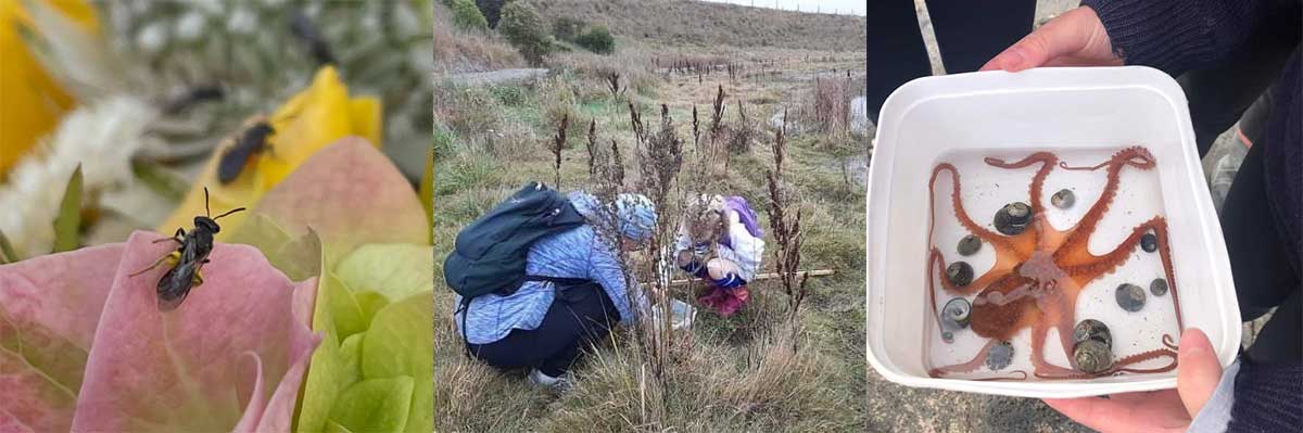 Find A Wuhoo in Timaru RFauth 02