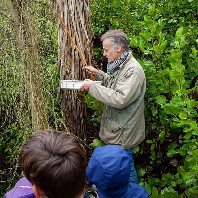 Finding Insects with Phillip Howe 2