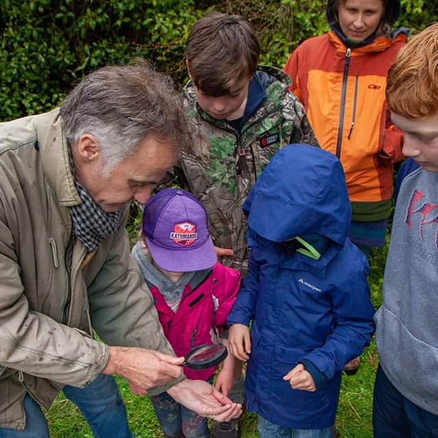 Finding Insects with Phillip Howe 3