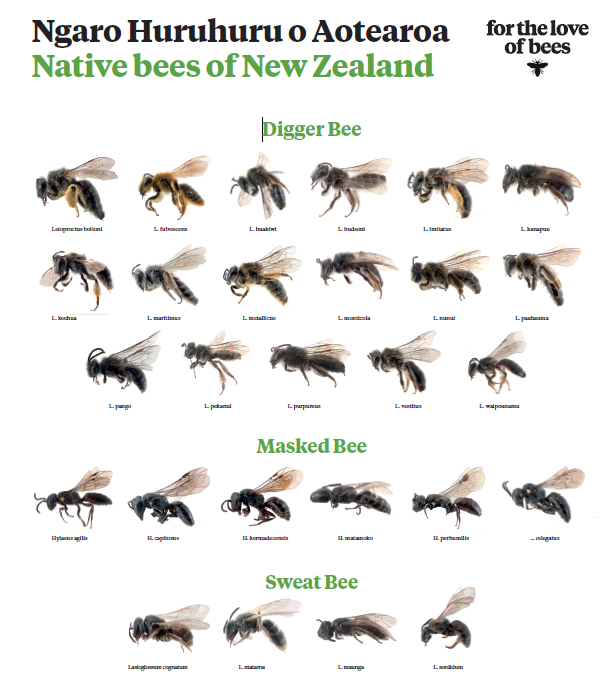 For The Love Of Bees Ngaro Huruhuru poster 2021 s457