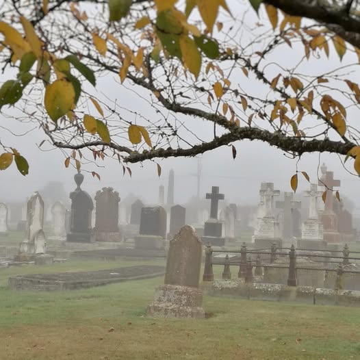 Grave of Samuel Williams Yankie Sam Timaru Whaler Roselyn Fauth Whaling