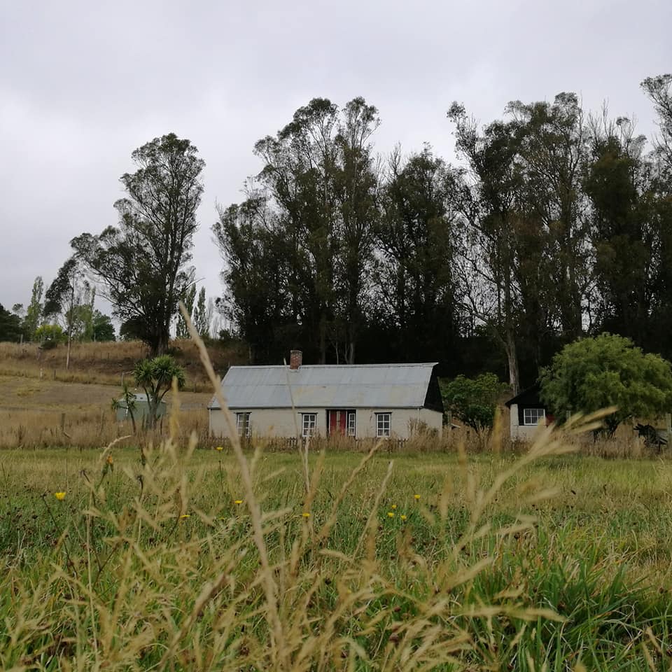 Keane Road Pleasant Point Roselyn Fauth5