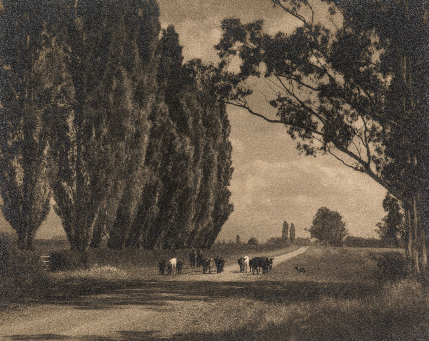 MA I092918 TePapa Summer day South Canterbury Web