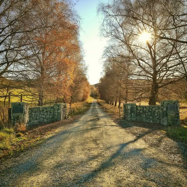 Pioneer Park Conservation Area Trees Trails and History WuHoo Timaru Roselyn Fauth 2022 