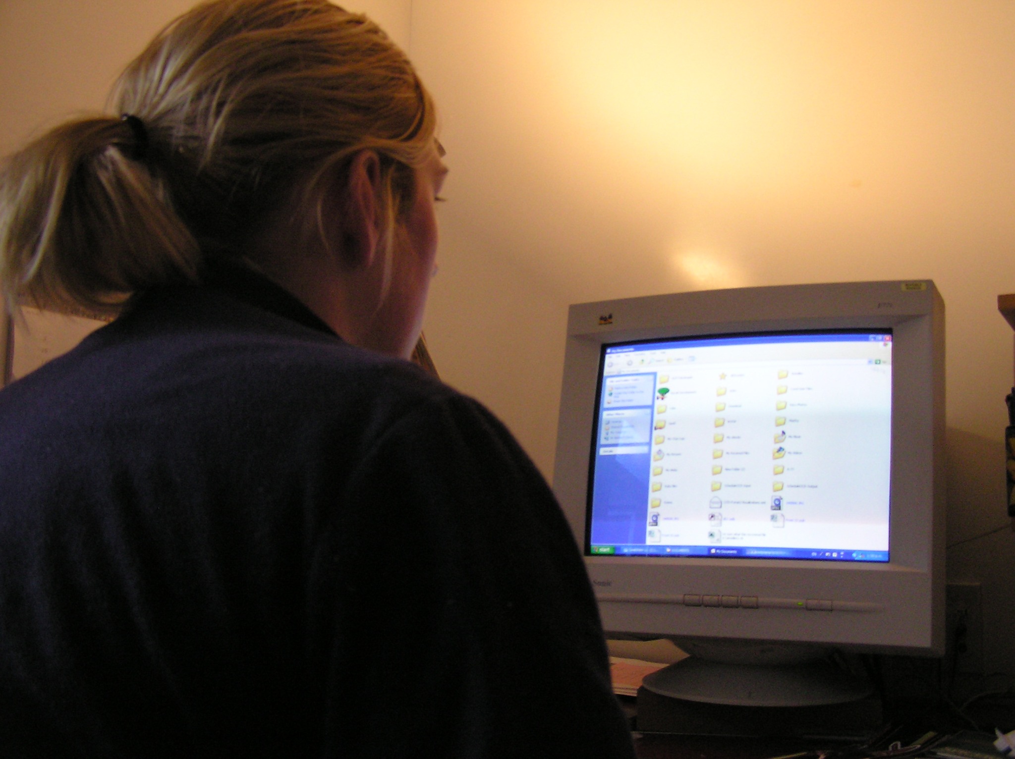 Roselyn Fauth state of the art graphic computer and screen