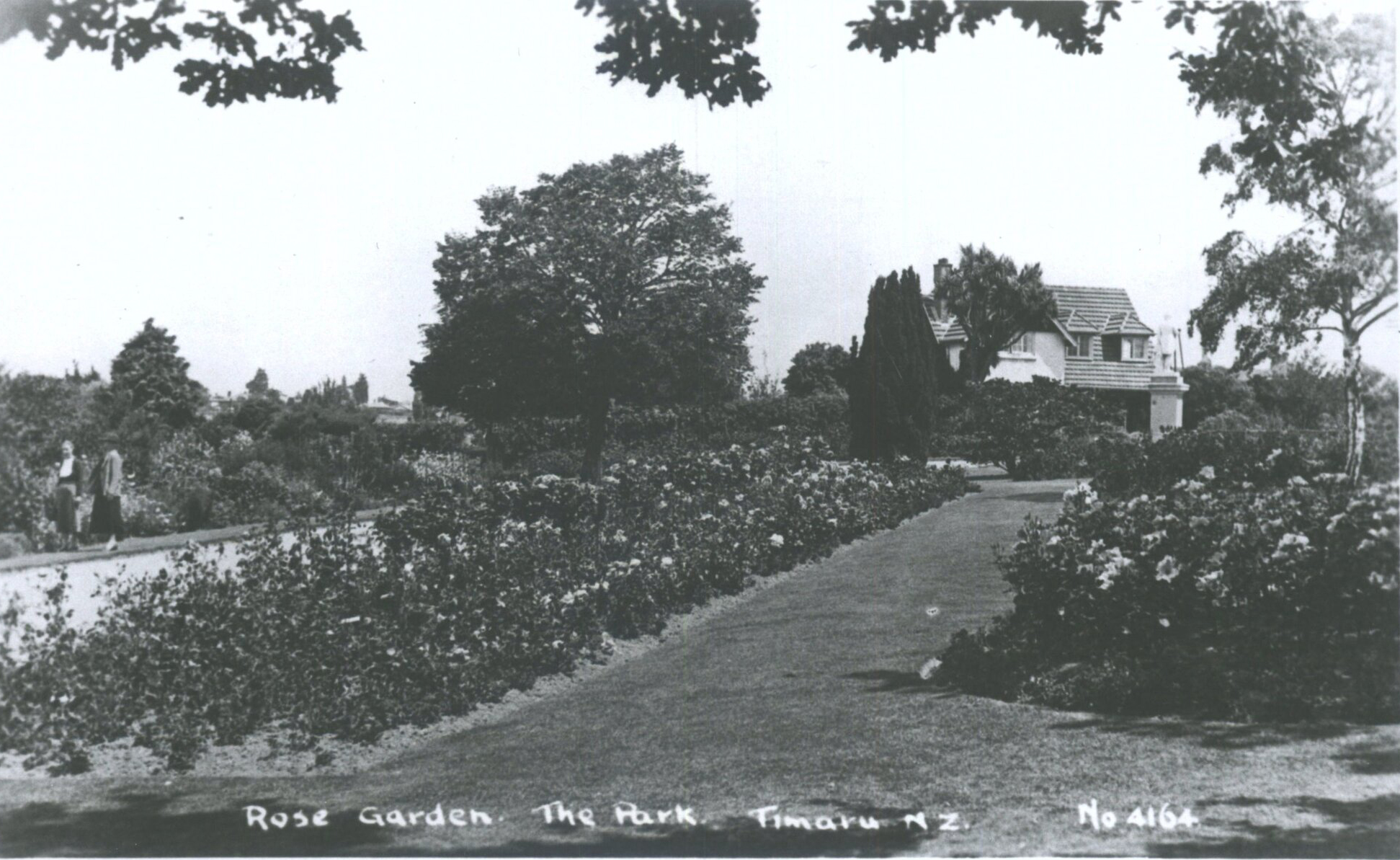 176206 Rose Garden The Park Timaru NZ Hocken Digital Collections hocken recollect 24154