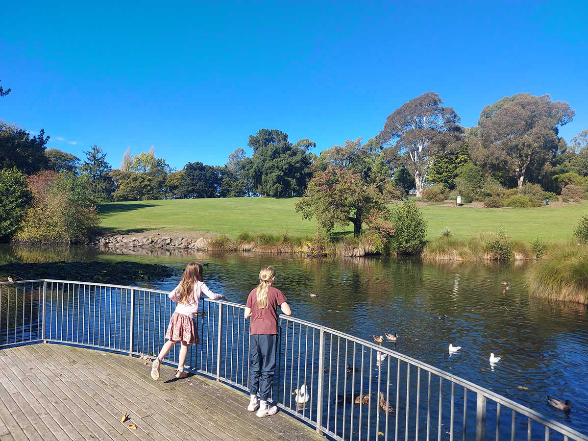 Feeding the duck at the timaru park duck pond 2026 20260409 103543