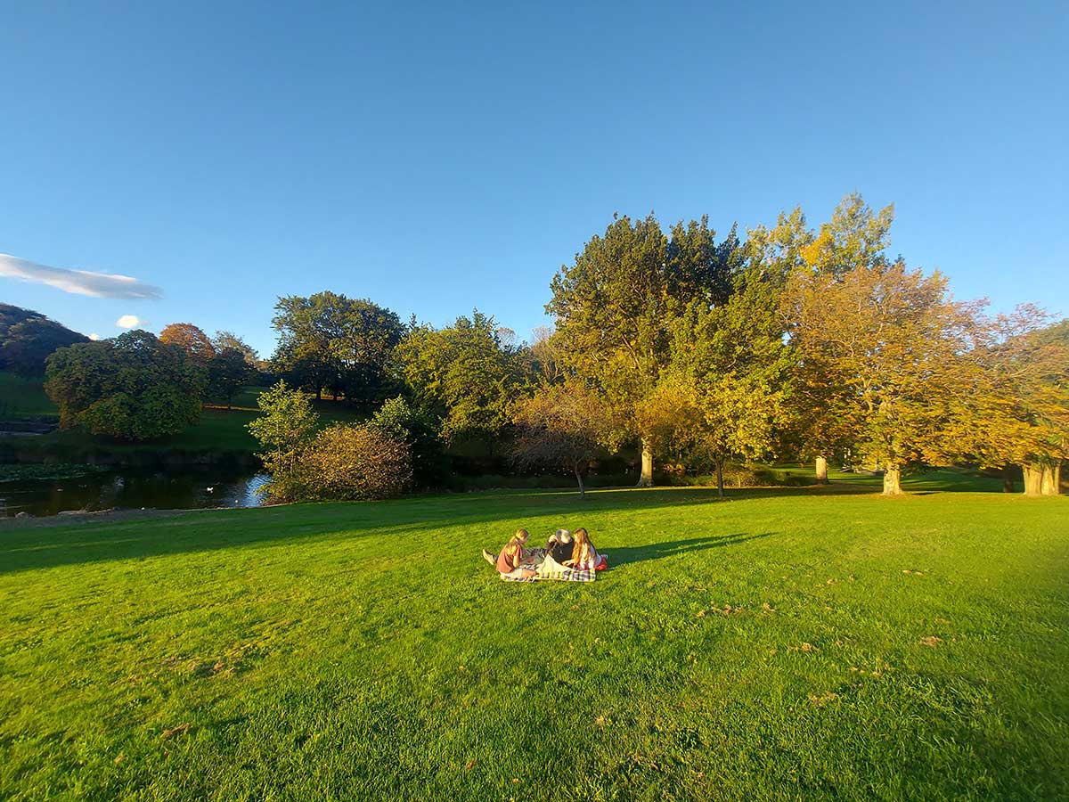Fish n chips at Botanic Gardens 20260409 173214