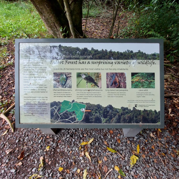 Go on Bat tree hunt 4 sign Photo Roselyn fauth