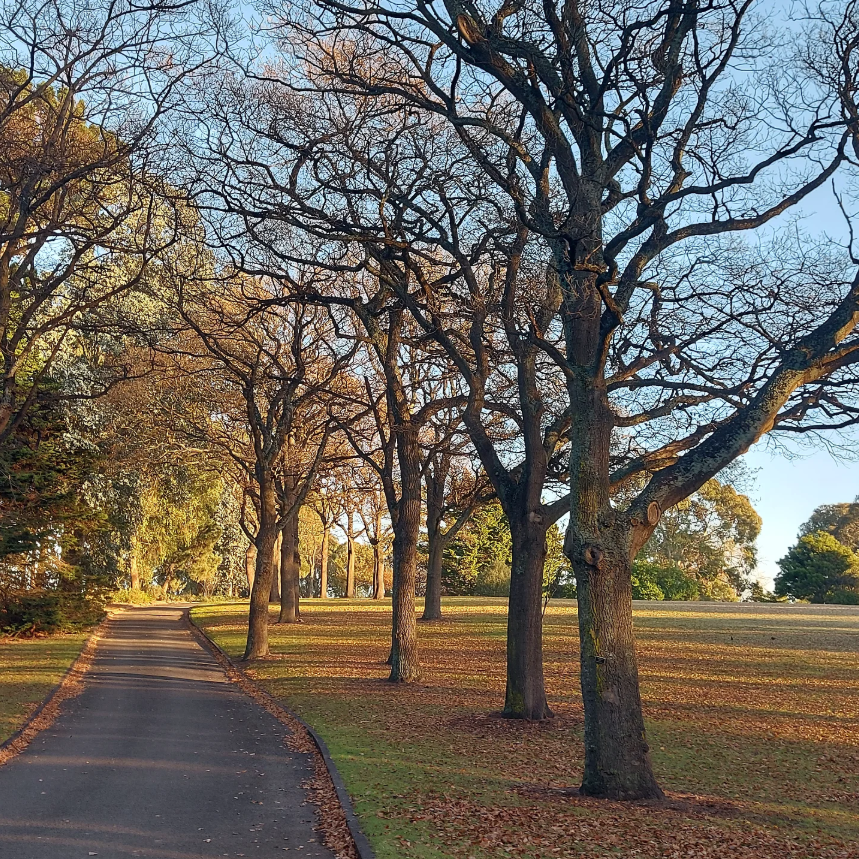 Timaru botanic Gardens Autumn 2025 Roselyn Fauth