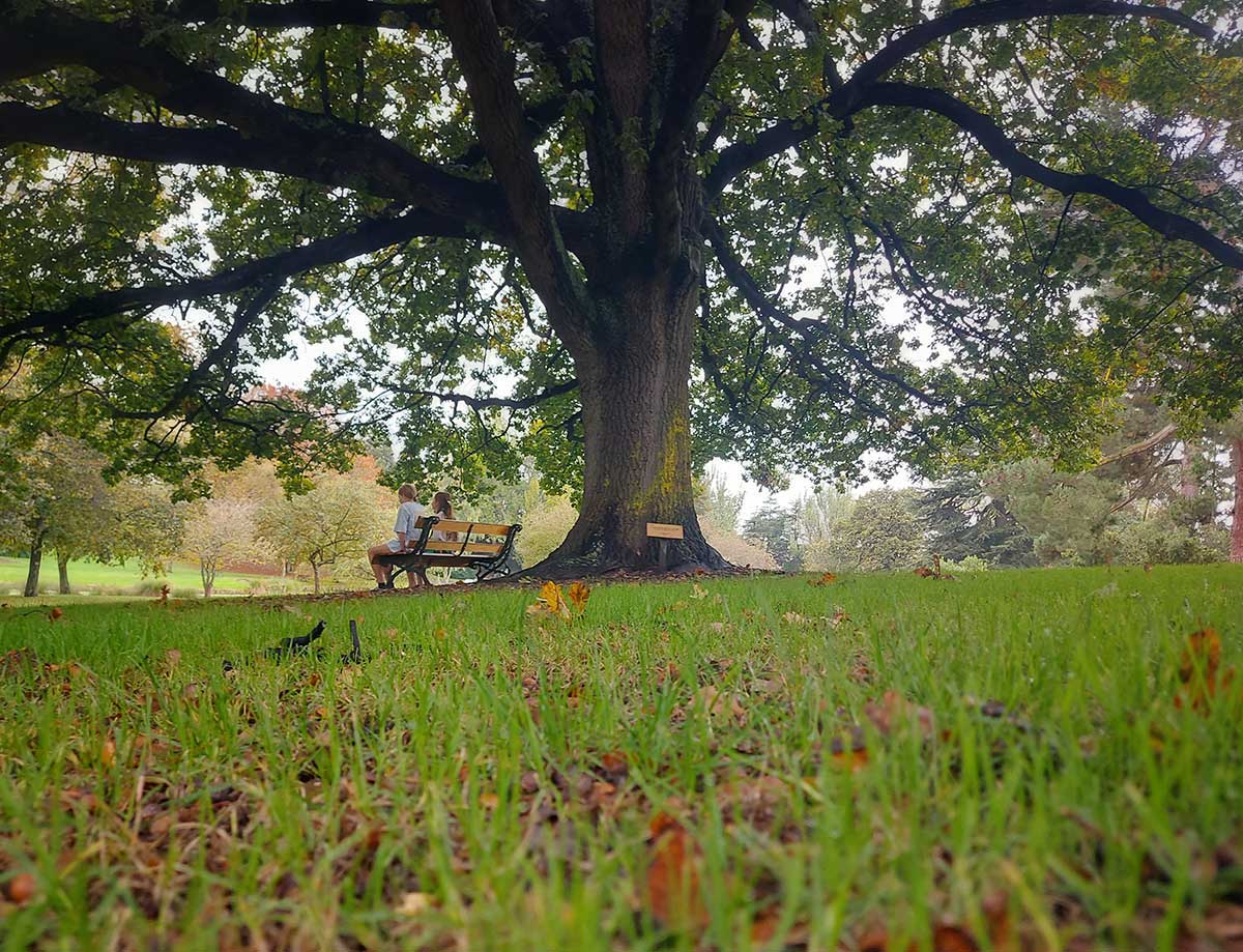 my daughters enjoying the gardens grown by generations 20260407