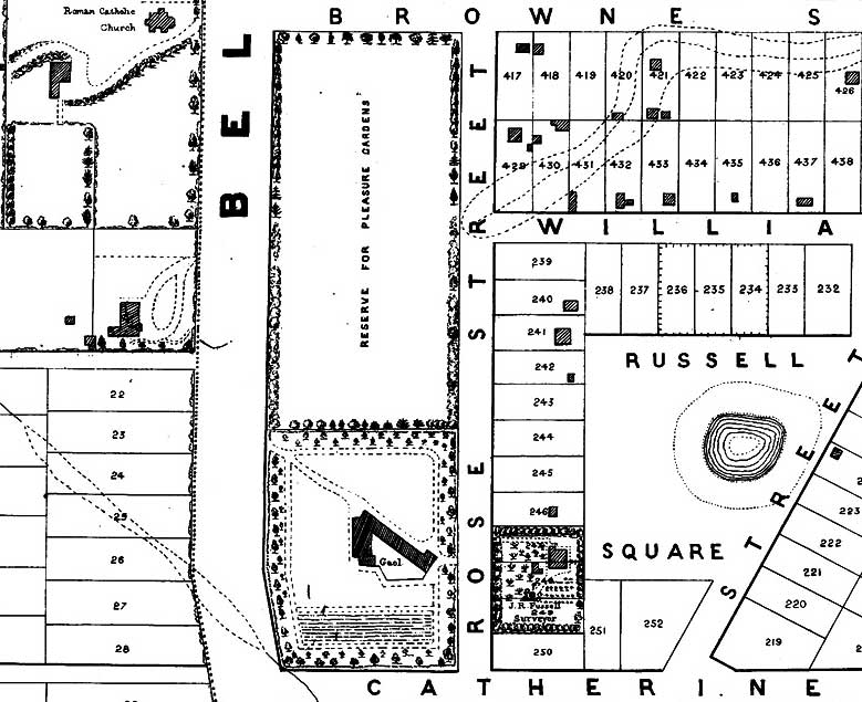 Timaru Goal surveyMap 1875 Map