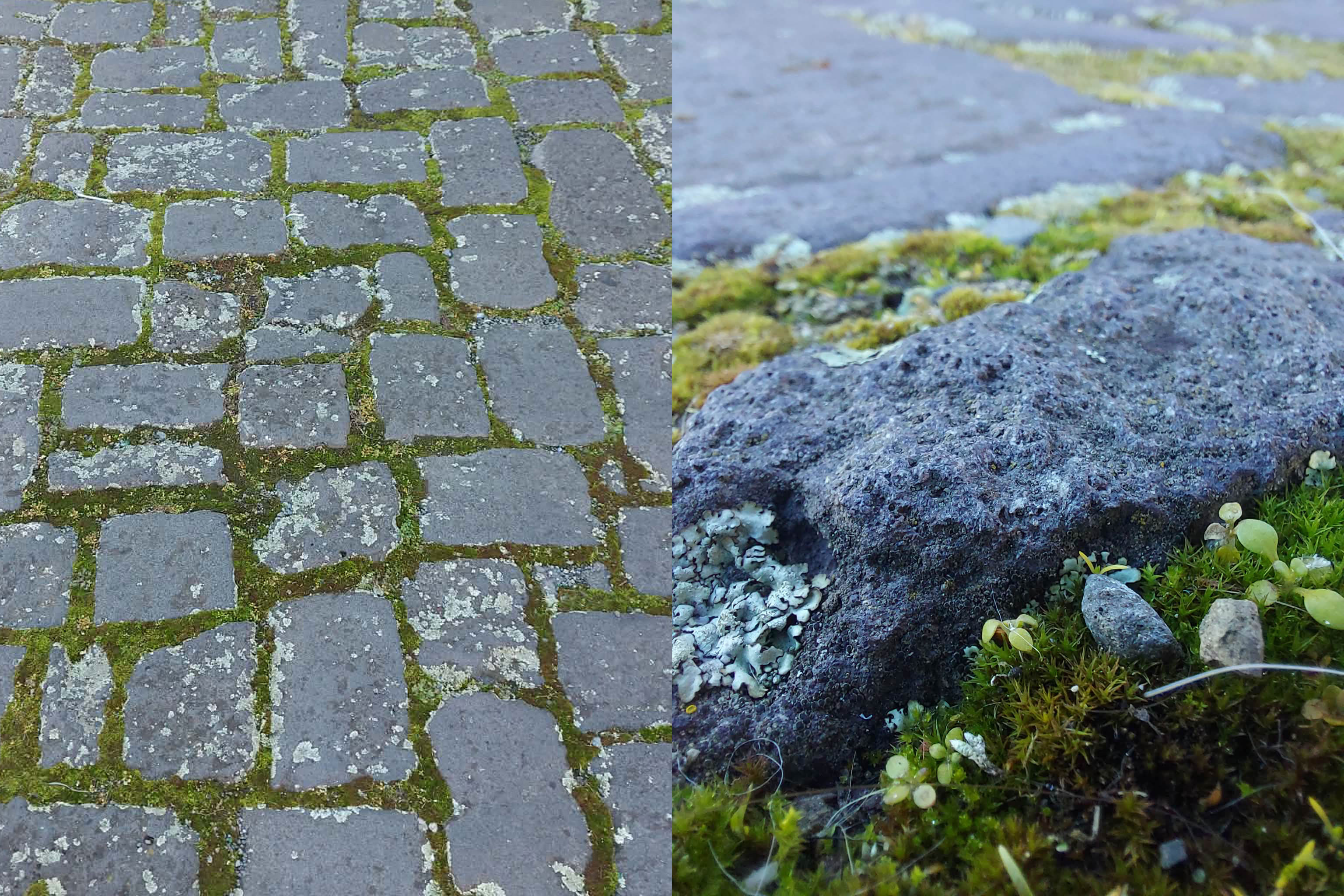 Timaru Bluestone cobbles Photo Roselyn Fauth 2026 details