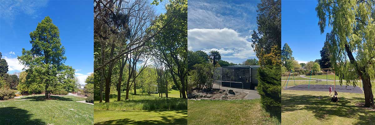 Timaru Botanic Gardens R Fauth 2026 2