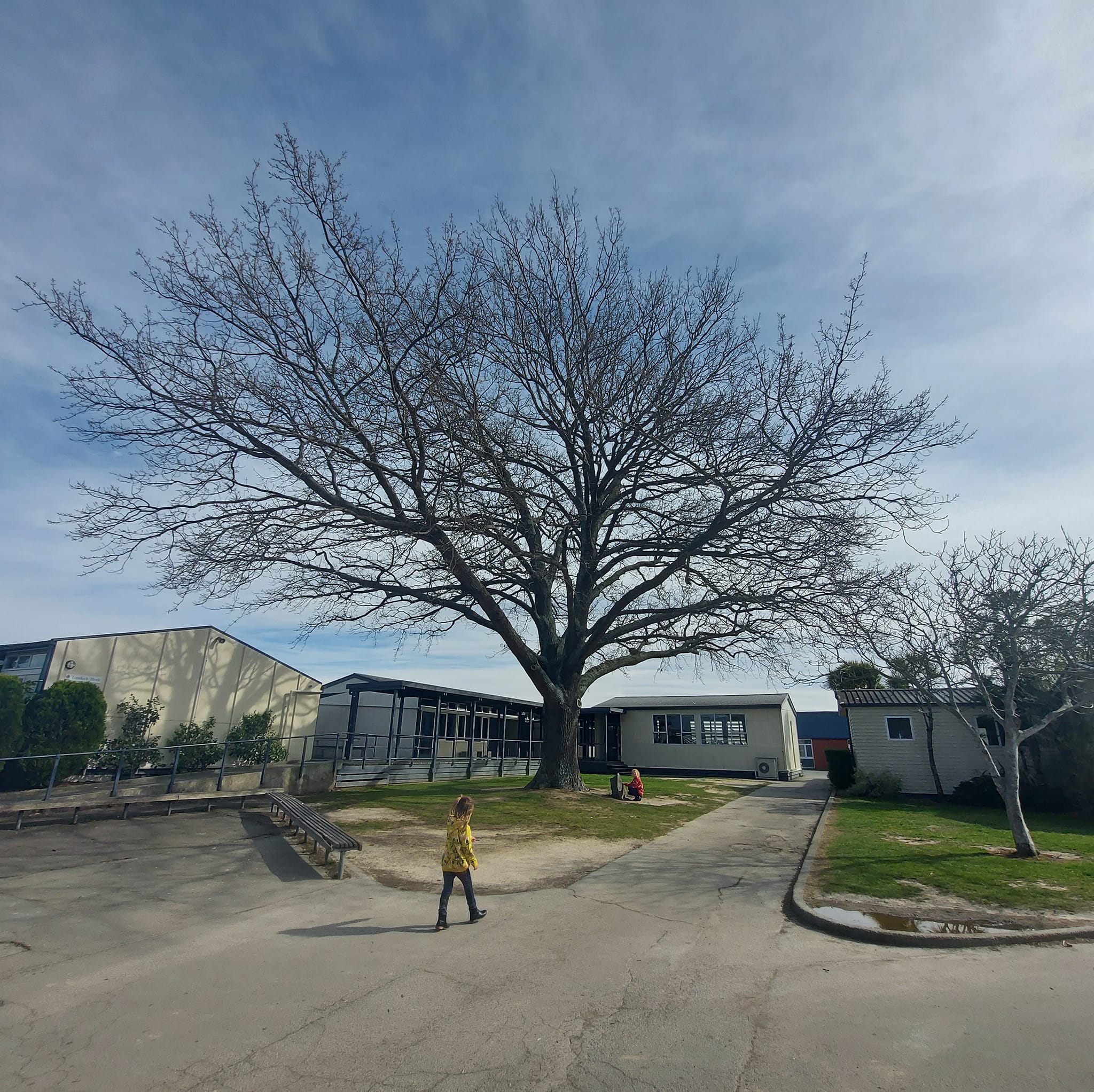 Timarus Olympic Oak Jack Lovelock Timaru Boys High School WuHoo Timaru Roselyn Fauth 2022