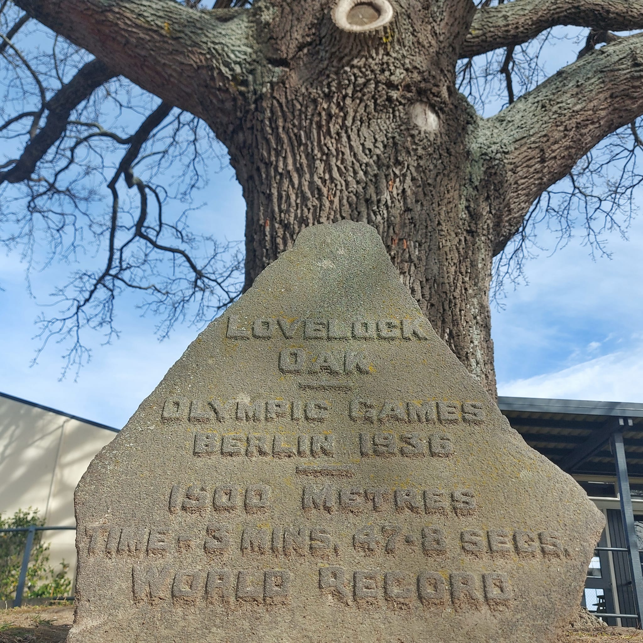 Timarus Olympic Oak Jack Lovelock Timaru Boys High School WuHoo Timaru Roselyn Fauth 2022
