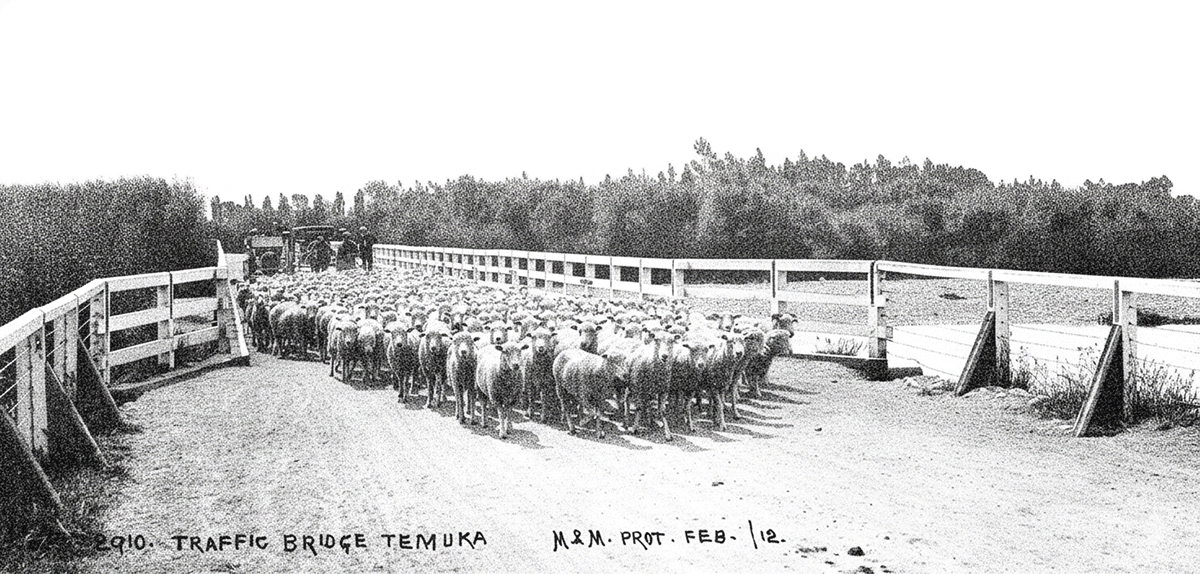 Traffic Bridge Temuka 1912 Temuka by Muir and Moodie Te Papa O 001799