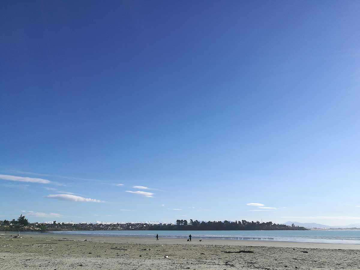 Coastal Trees 20190806 110214