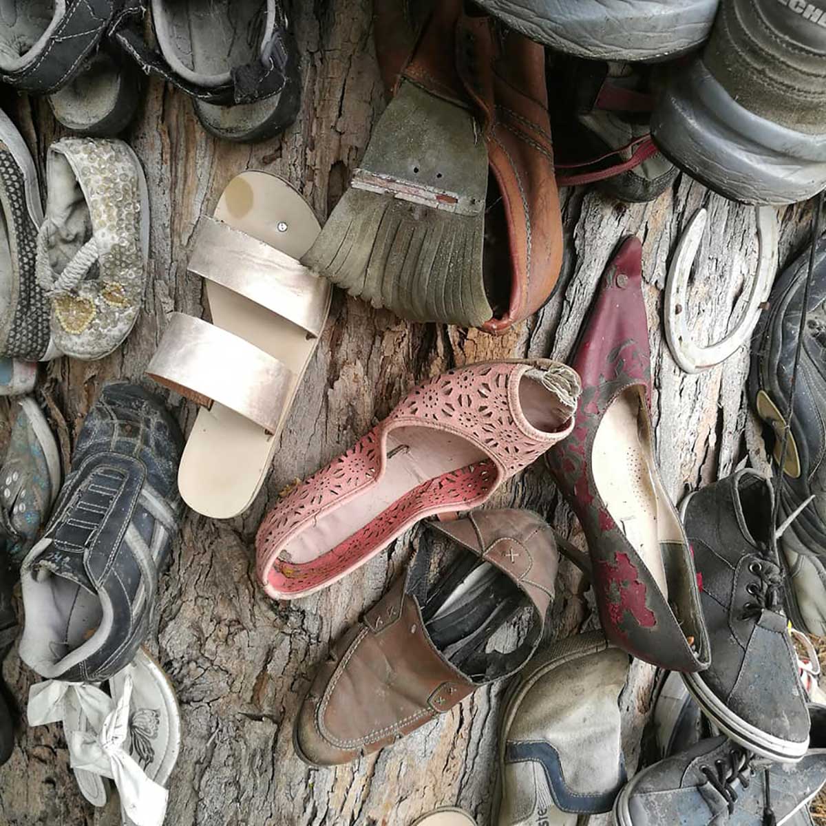 WuHoo Temuka Domain Shoe Tree