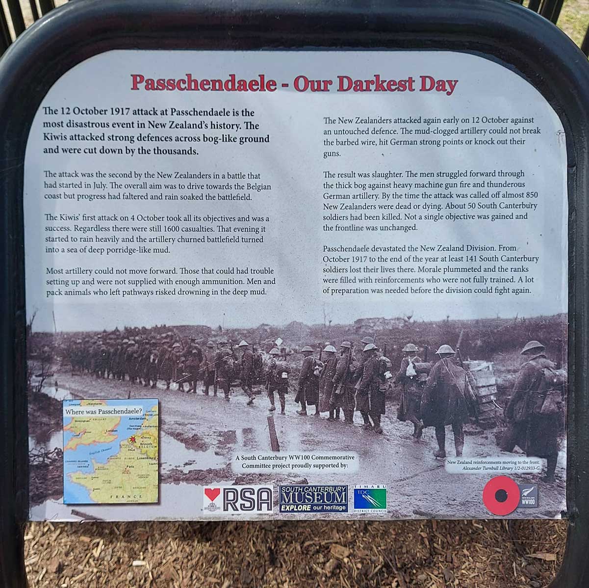 WuHoo Timaru Botanic Gardens Gallipoli Red Pine