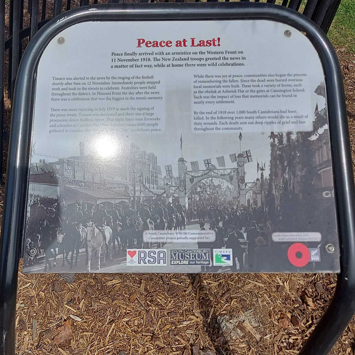 WuHoo Timaru Botanic Gardens Gallipoli Red Pine