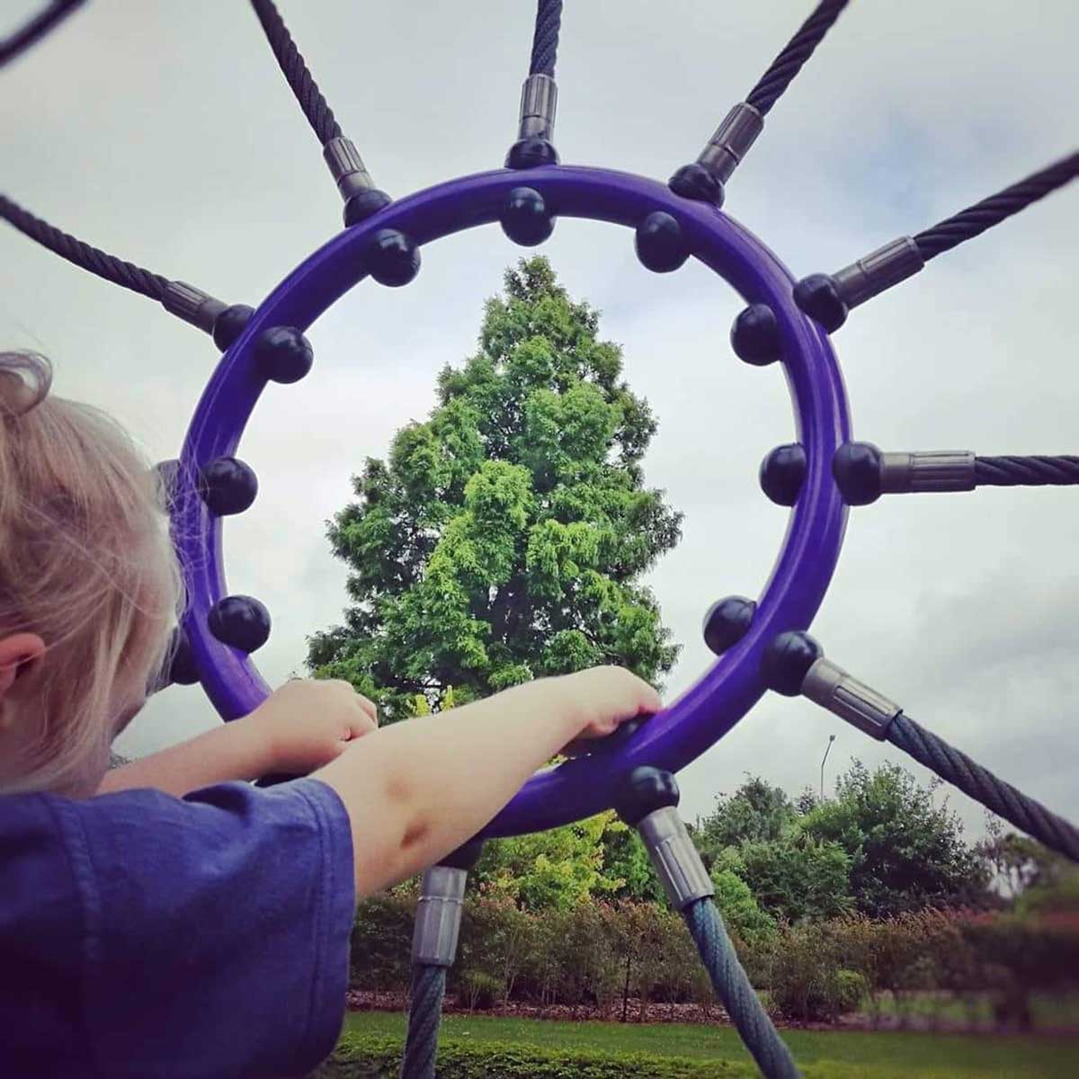 WuHooTimaru Metasequoia Dawn Redwood