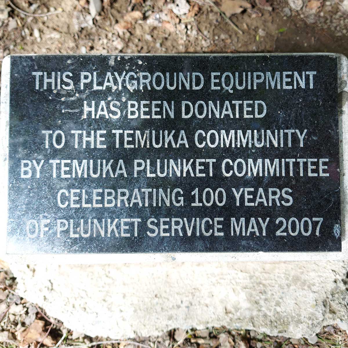 Plunket Tree Temuka Domain