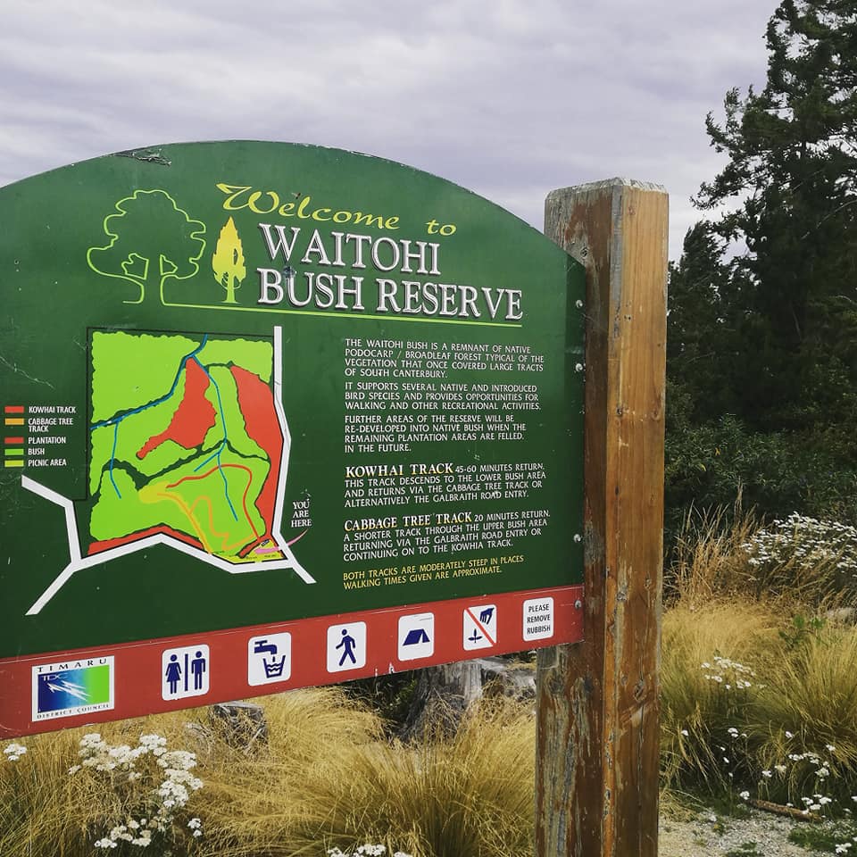 Waitohi Scenic Reserve Roselyn Fauth 2020 2