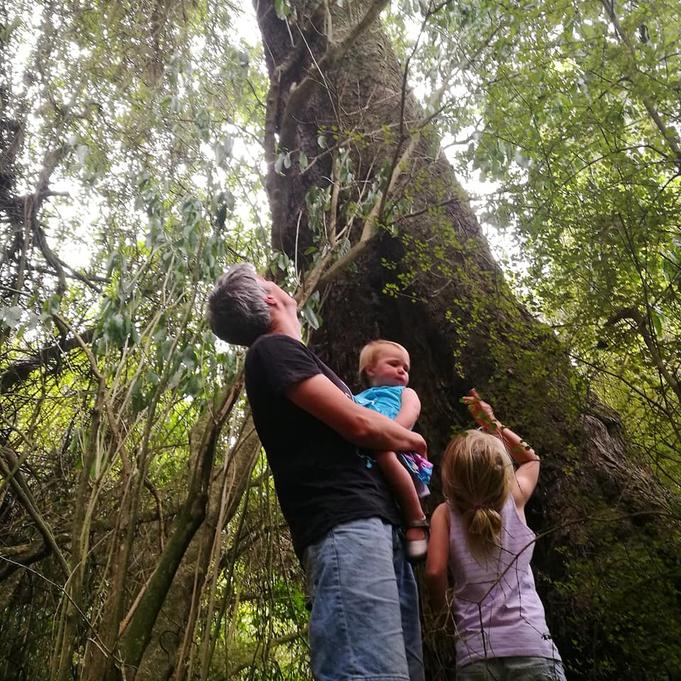 Waitohi Scenic Reserve Roselyn Fauth 2020 5